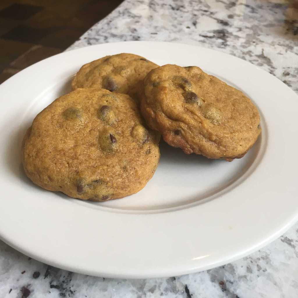 Jackson Hole Bed And Breakfast Recipe Book- Pumpkin Chocolate Chip ...